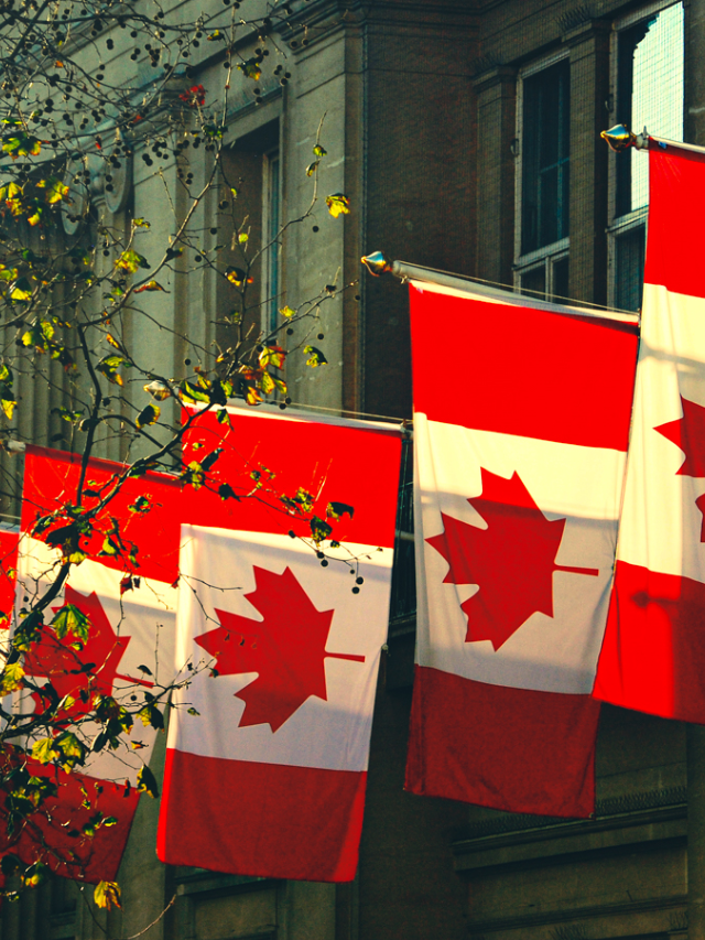 Stories Oasis India Stories Oasis India