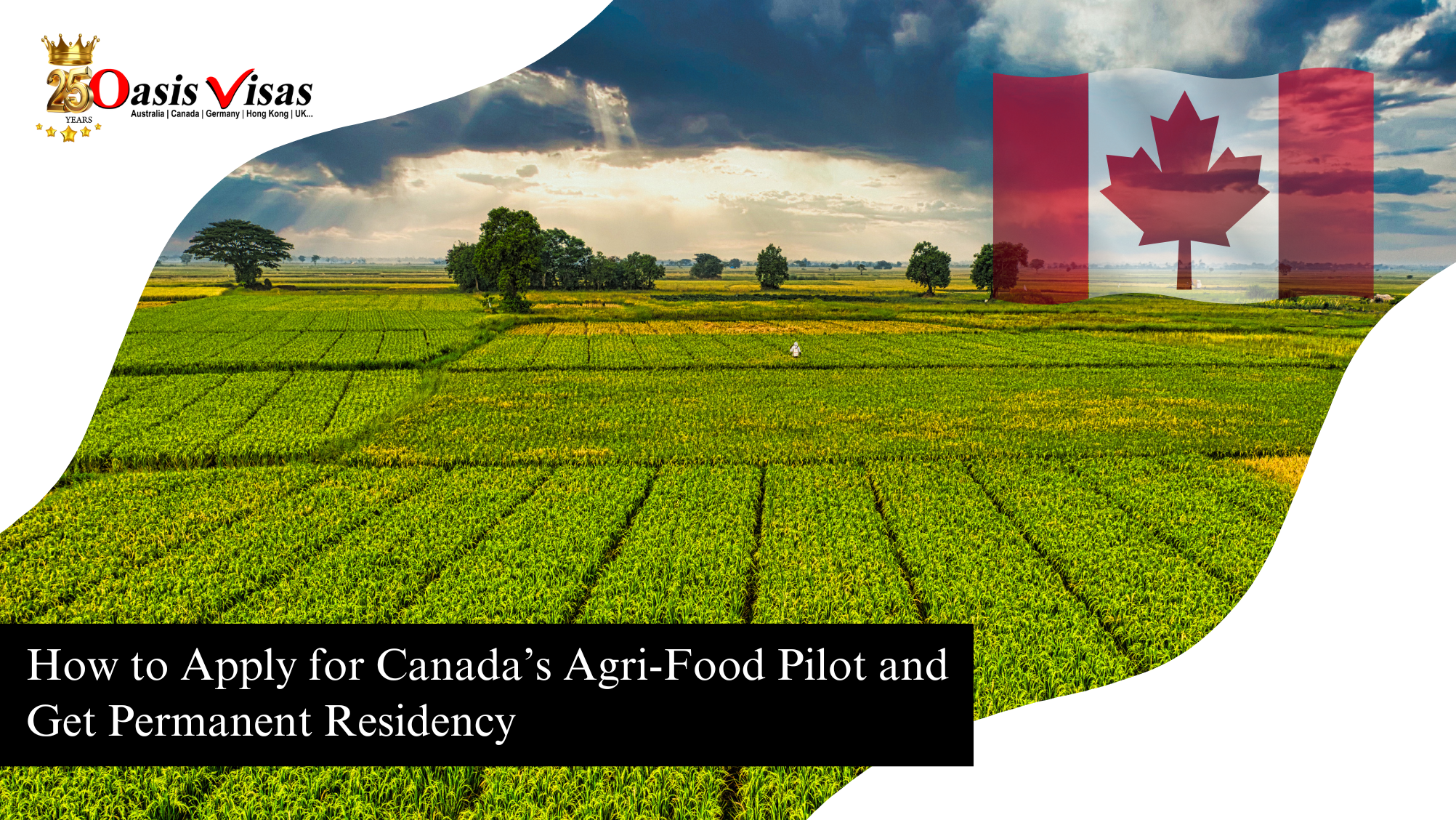 How to Apply for Canada’s Agri-Food Pilot and Get Permanent Residency