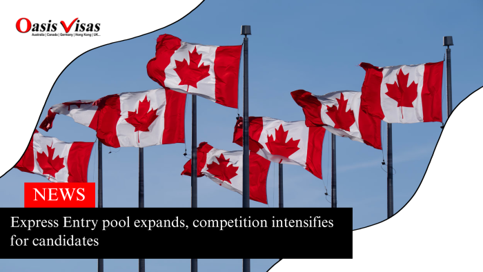 Express Entry pool expands, competition intensifies for candidates