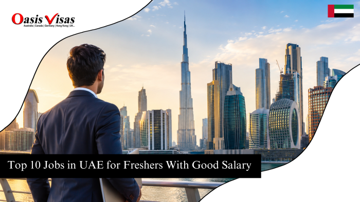 Top 10 Jobs in UAE for Freshers With Good Salary 1 Top 10 Jobs in UAE for Freshers With Good Salary